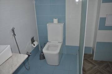 Фото номера Апартаменты с видом на горы Апартаменты Apartments Firuze г. Габала 77
