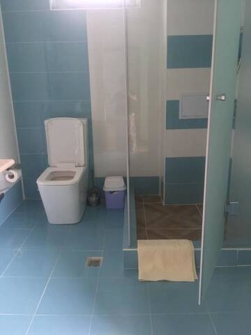 Фото номера Апартаменты с видом на горы Апартаменты Apartments Firuze г. Габала 55