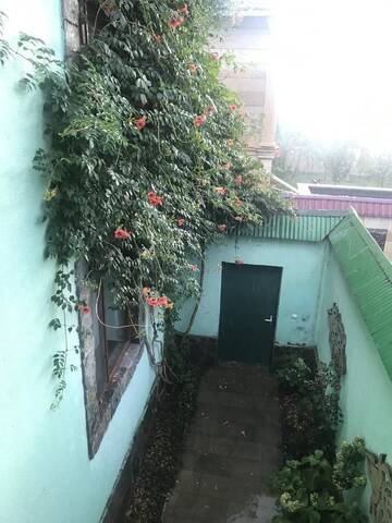 Фото номера Вилла с 2 спальнями Виллы GREEN Family VILLA г. Габала 22
